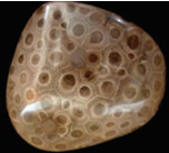 Origins: Ancient Echoes